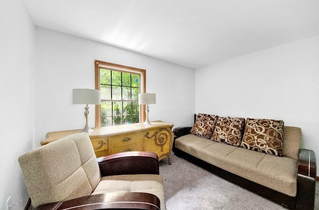 481 E Branch Rd, Patterson, NY 12563 - view of carpeted living room