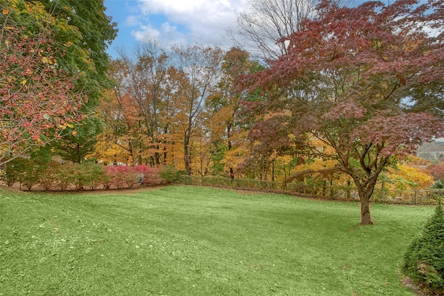 25 Fountain Dr, Valhalla, NY 10595 - view of yard