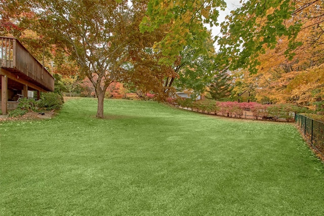 25 Fountain Dr, Valhalla, NY 10595 - view of yard