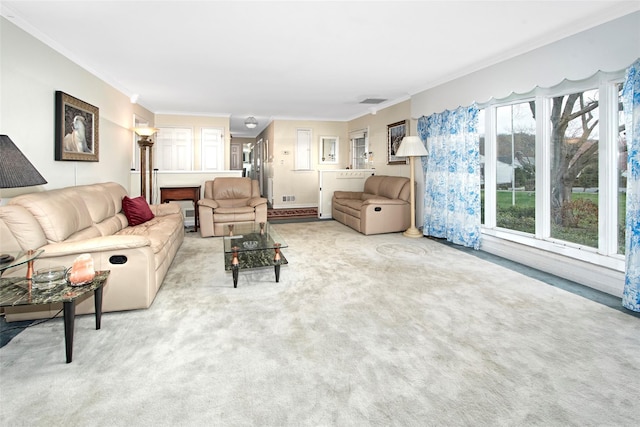 25 Fountain Dr, Valhalla, NY 10595 - carpeted living area featuring ornamental molding