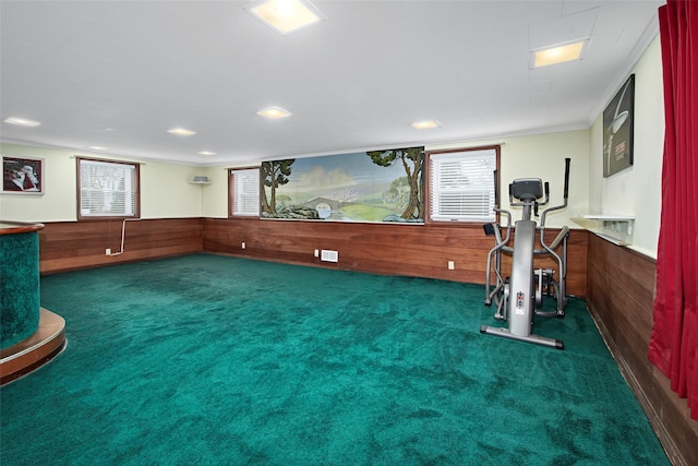 25 Fountain Dr, Valhalla, NY 10595 - workout area with carpet, wood walls, wainscoting, healthy amount of natural light, and crown molding
