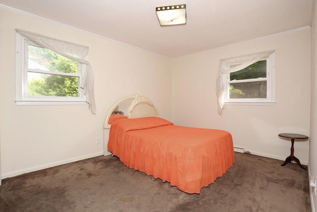 38 Wilson St, Middletown, NY 10940 - carpeted bedroom with baseboards and a baseboard radiator