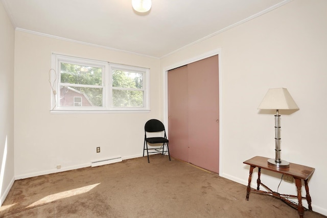 38 Wilson St, Middletown, NY 10940 - unfurnished bedroom featuring a baseboard heating unit, carpet floors, ornamental molding, and a closet