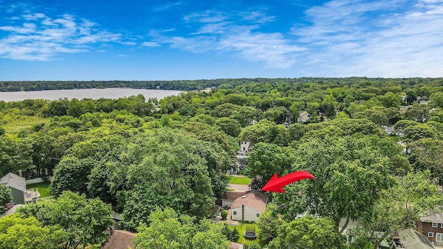 21 Spectacle Lake Dr, Smithtown, NY 11767 - bird's eye view of a heavily wooded area and a large body of water