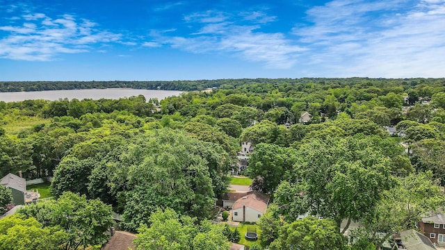21 Spectacle Lake Dr, Smithtown, NY 11767 - bird's eye view of a forest