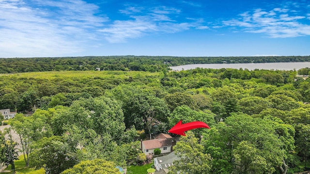 21 Spectacle Lake Dr, Smithtown, NY 11767 - aerial view of a heavily wooded area and a large body of water