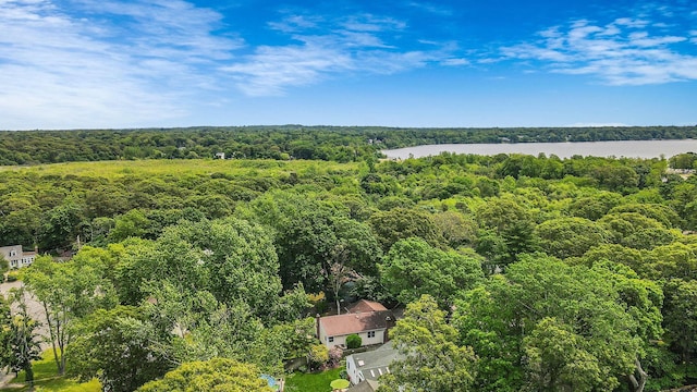 21 Spectacle Lake Dr, Smithtown, NY 11767 - aerial view of a heavily wooded area and a large body of water