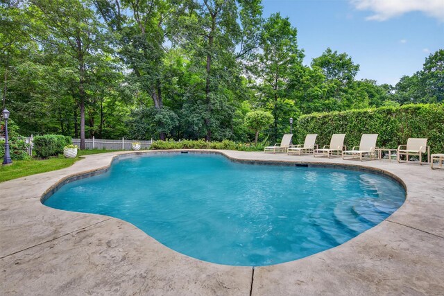 11 Pacer Ct, Goshen, NY 10924 - view of swimming pool with a patio area and view of scattered trees
