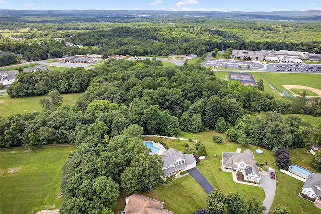 11 Pacer Ct, Goshen, NY 10924 - drone / aerial view of a forest