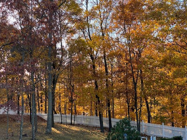 11 Pacer Ct, Goshen, NY 10924 - view of yard
