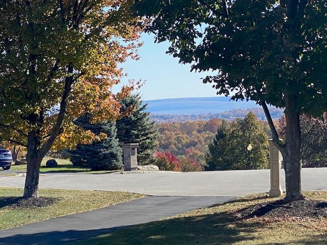 11 Pacer Ct, Goshen, NY 10924 - view of road featuring street lighting
