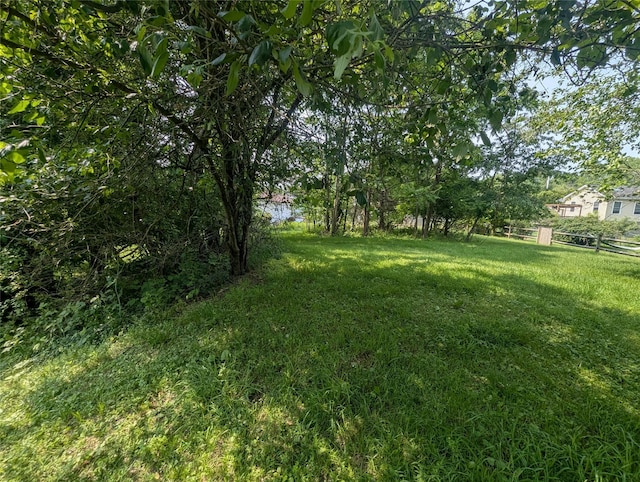 265 Goodwill Rd, Montgomery, NY 12549 - view of yard