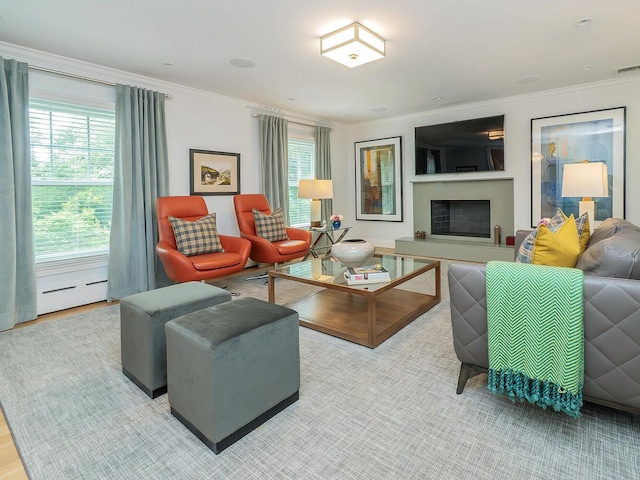 70 Scudders Ln, Roslyn Harbor, NY 11576 - living area with ornamental molding, plenty of natural light, a fireplace with raised hearth, and baseboard heating