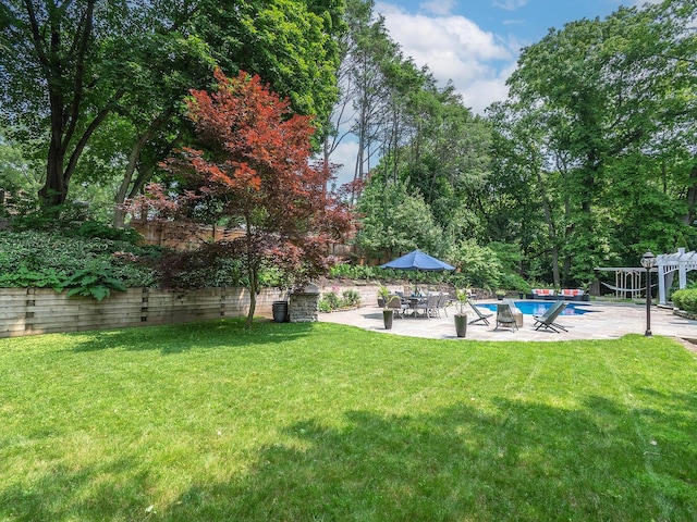 70 Scudders Ln, Roslyn Harbor, NY 11576 - view of yard with an outdoor pool and a patio area