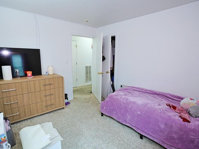 147 Ruth Ct, Middletown, NY 10940 - bedroom with light colored carpet