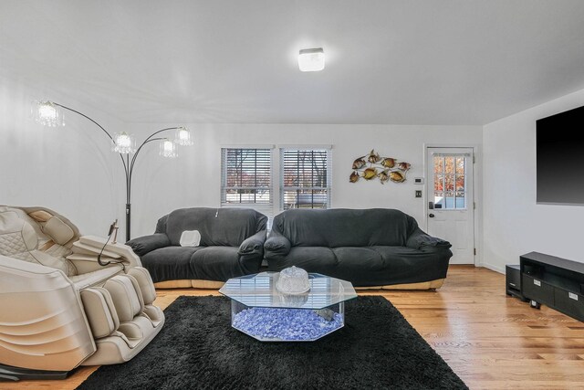 69 Plum St, Central Islip, NY 11722 - living room featuring light wood finished floors
