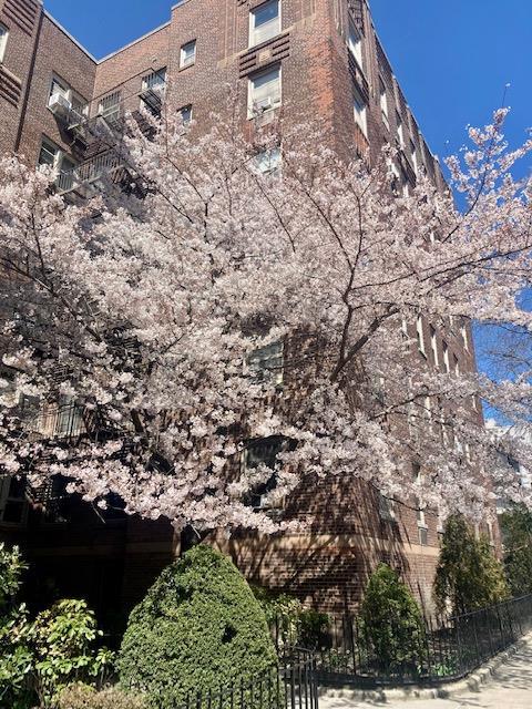 48-25 43rd St Unit 1J, Woodside, NY 11377 - view of property
