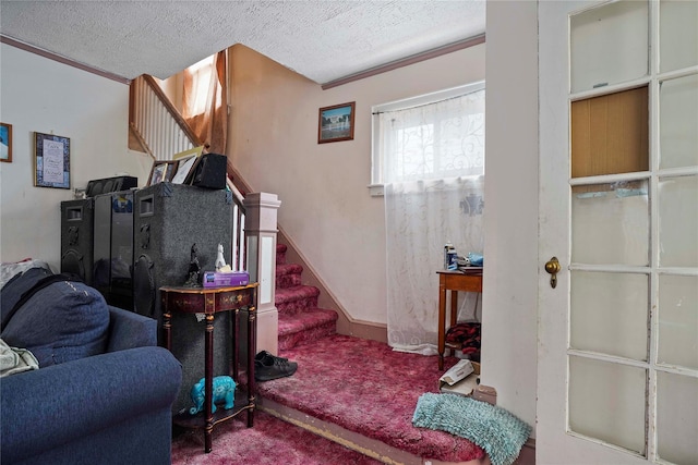 109 Leverich St, Hempstead, NY 11550 - carpeted living room with stairs and a textured ceiling
