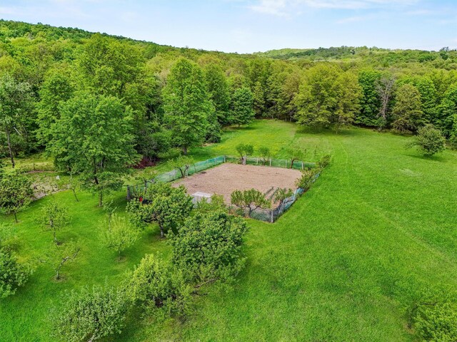20 Goshen Rd, Chester, NY 10918 - photo 42