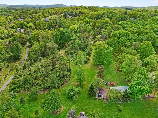 20 Goshen Rd, Chester, NY 10918 - photo 46