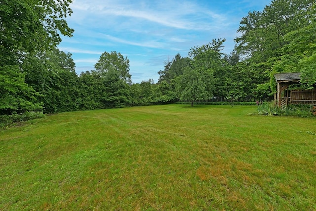 8 Macintosh Ln, Monsey, NY 10952 - view of green lawn