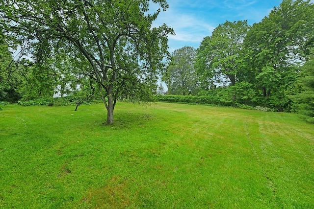 8 Macintosh Ln, Monsey, NY 10952 - view of green lawn