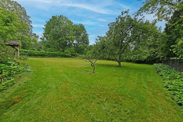 8 Macintosh Ln, Monsey, NY 10952 - view of yard