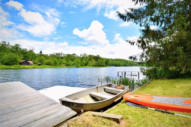 240 Trout Brook Rd, Roscoe, NY 12736 - dock featuring a water view and a yard