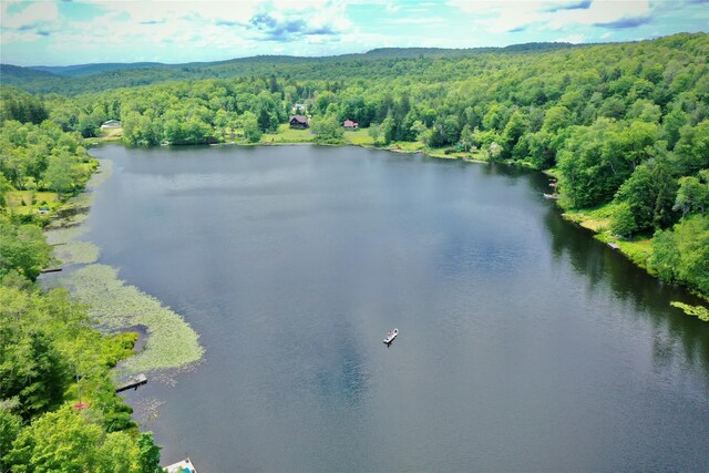 240 Trout Brook Rd, Roscoe, NY 12736 - water view with a forest
