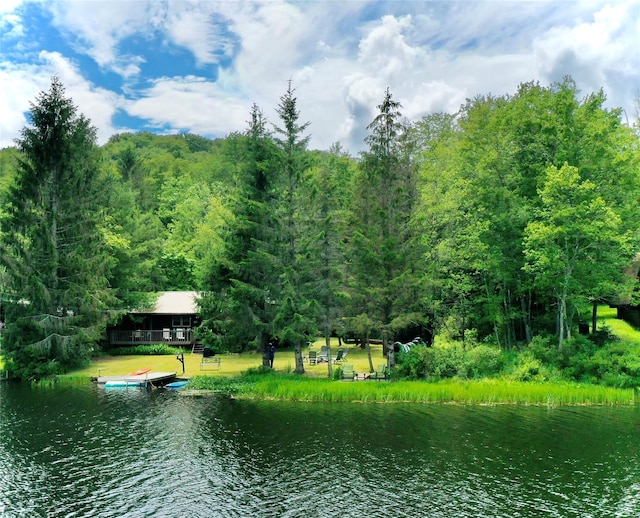 240 Trout Brook Rd, Roscoe, NY 12736 - water view featuring a forest and a boat dock