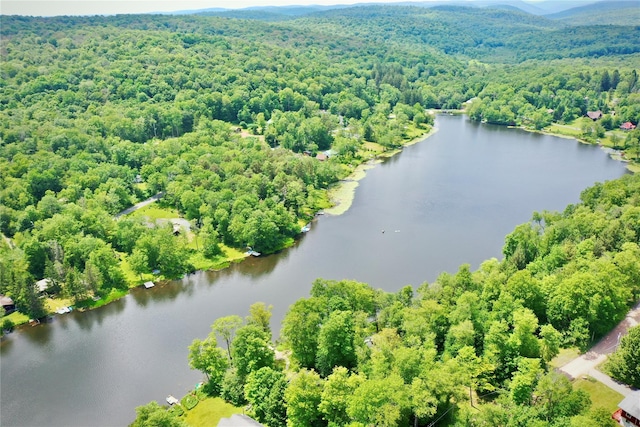 240 Trout Brook Rd, Roscoe, NY 12736 - aerial view of a large body of water