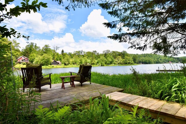 240 Trout Brook Rd, Roscoe, NY 12736 - wooden deck featuring a water view, grilling area, and a view of trees