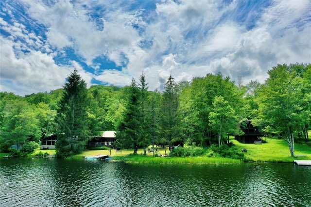 240 Trout Brook Rd, Roscoe, NY 12736 - water view
