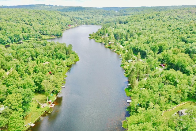 240 Trout Brook Rd, Roscoe, NY 12736 - drone / aerial view of a forest and a large body of water