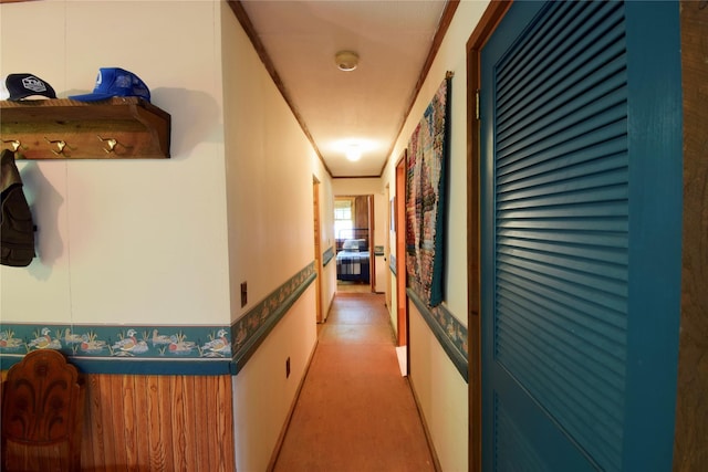 240 Trout Brook Rd, Roscoe, NY 12736 - hall featuring light carpet