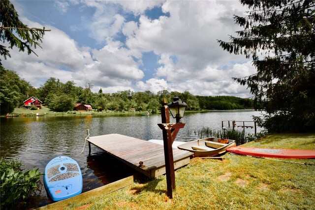 240 Trout Brook Rd, Roscoe, NY 12736 - dock area with a water view