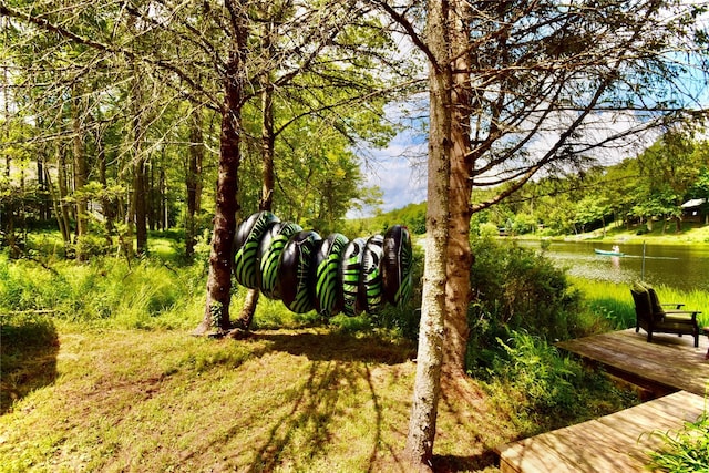 240 Trout Brook Rd, Roscoe, NY 12736 - view of yard featuring a water view
