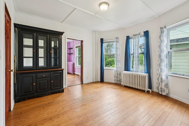 334 Union Ave, Peekskill, NY 10566 - unfurnished room with radiator heating unit and light wood-type flooring