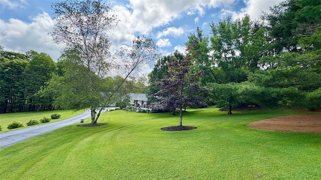 105 White Sulphur Rd, Swan Lake, NY 12783 - view of grassy yard