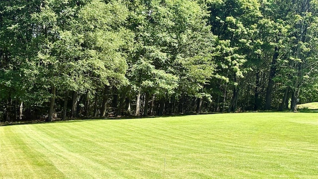 105 White Sulphur Rd, Swan Lake, NY 12783 - view of green lawn