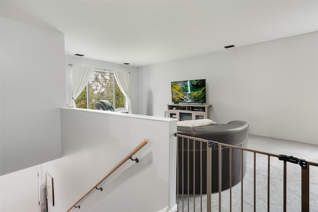 3305 Pine Cone Ct, Poughkeepsie, NY 12603 - staircase with carpet floors