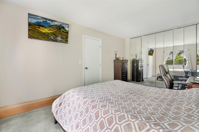 3305 Pine Cone Ct, Poughkeepsie, NY 12603 - carpeted bedroom featuring a closet