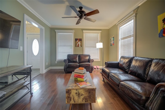 163 N Hamilton St, Poughkeepsie, NY 12601 - living area featuring ceiling fan, dark wood finished floors, ornamental molding, and baseboards