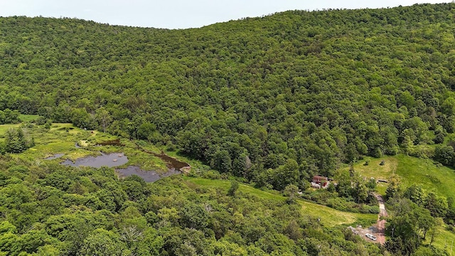 9003 County Highway 28, Long Eddy, NY 12760 - photo 22
