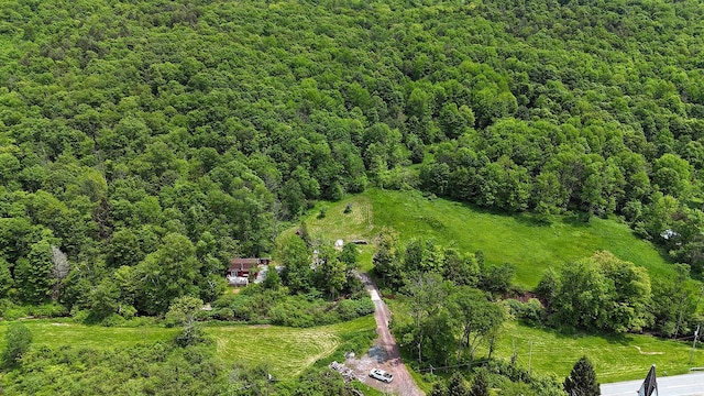 9003 County Highway 28, Long Eddy, NY 12760 - photo 50