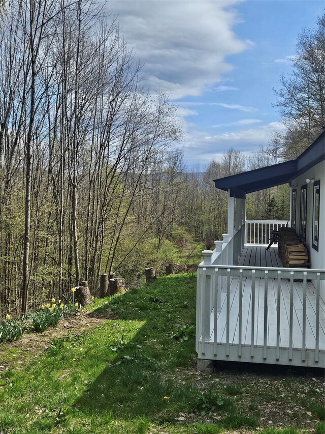 470 Shaver Hill Rd, Andes, NY 13731 - view of yard featuring a forest view