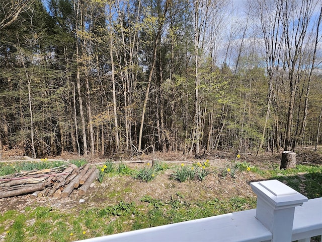 470 Shaver Hill Rd, Andes, NY 13731 - view of yard