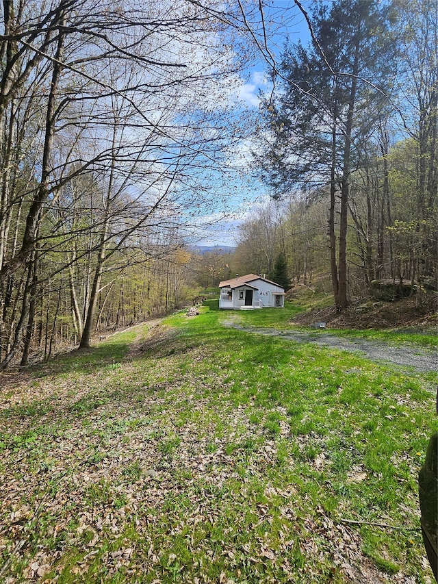 470 Shaver Hill Rd, Andes, NY 13731 - view of green lawn featuring a view of trees