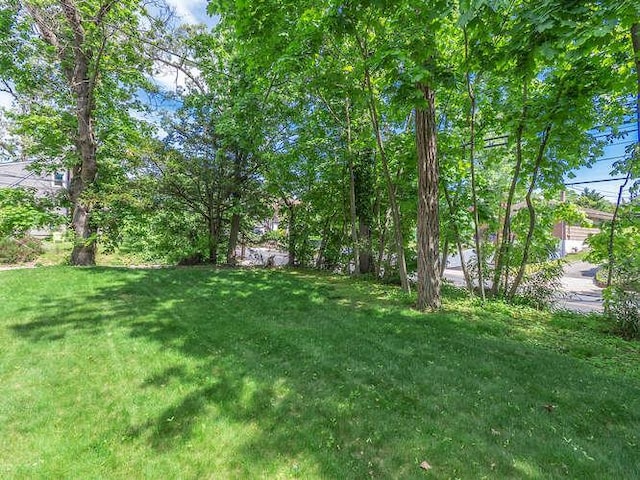 44 Glenwood Rd, Glen Head, NY 11545 - view of green lawn