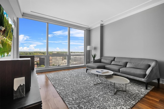 5 Renaissance Sq Unit 23B, White Plains, NY 10601 - living room featuring expansive windows, wood finished floors, and ornamental molding